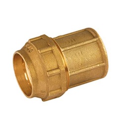 [051810250] ENLACE HEMBRA SYC 25x3/4" LATÓN PARA PE