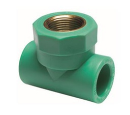 [481123020] TE ROSCA H PPR 20x1/2"x20 PN25 TORO 25